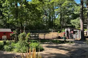 19 King St, Norfolk, MA 02762 - Photo 4