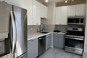 4 Woodbine St, Boston, MA 02119 - Photo 20