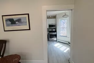 4 Woodbine St, Boston, MA 02119 - Photo 16
