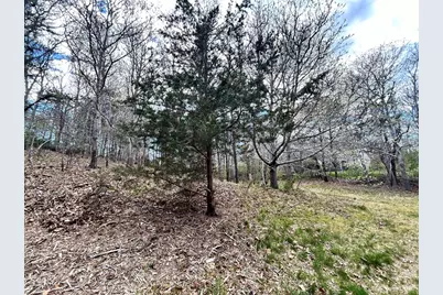 51 Forest Pines, Dennis, MA 02641 - Photo 4
