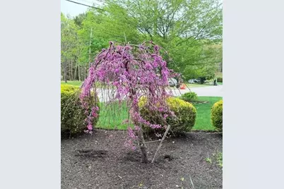 12 Barbara Rd, Canton, MA 02021 - Photo 32
