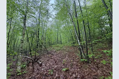 Tbd Lower Road, Deerfield, MA 01342 - Photo 1
