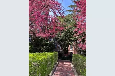 41 Linnaean #36, Cambridge, MA 02138 - Photo 2