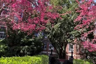 41 Linnaean, Cambridge, MA 02138 - Photo 2