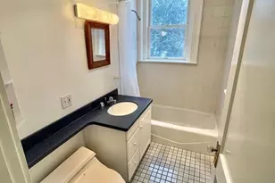 41 Linnaean, Cambridge, MA 02138 - Photo 22