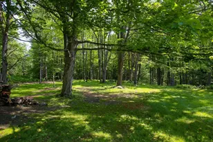 127 County Rd, Rowe, MA 01367 - Photo 14