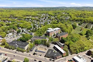 11 Cheriton Rd, Boston, MA 02132 - Photo 22