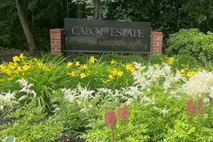 241 Perkins St, Boston, MA 02130 - Photo 10