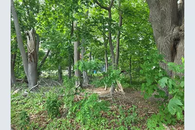 0 Dexter Street, Fall River, MA 02720 - Photo 2