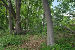 0 Dexter St, Fall River, MA 02720 - Photo 1
