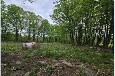 1 Crane Rd, Chester, MA 01011 - Photo 4