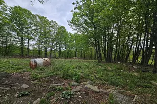 1 Crane Rd, Chester, MA 01011 - Photo 4