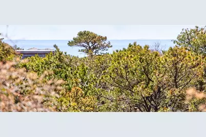 7 Turnstone Road, Truro, MA 02652 - Photo 18