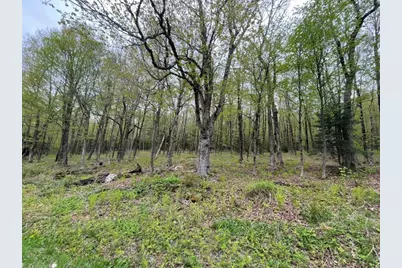 174 Tilda Hill Rd, Florida, MA 01247 - Photo 4