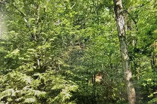 349 SW Main St, Douglas, MA 01516 - Photo 6