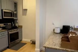 50 Perrin St, Boston, MA 02119 - Photo 4