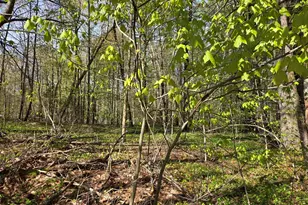 Lot 12W Chicopee Dr, Hubbardston, MA 01452 - Photo 1