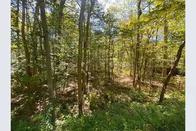 45 Fox Hill Rd, Mashpee, MA 02649 - Photo 2