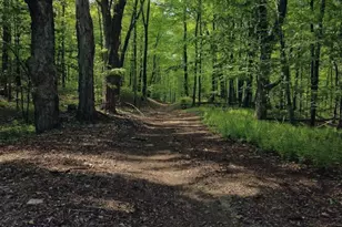 32 Hollow Rd, Wales, MA 01081 - Photo 14
