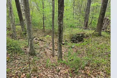 32 Hollow Rd, Wales, MA 01081 - Photo 18