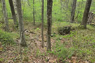 32 Hollow Rd, Wales, MA 01081 - Photo 18