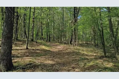 32 Hollow Rd, Wales, MA 01081 - Photo 20