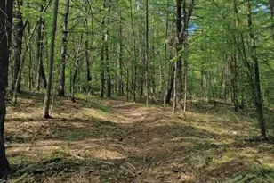 32 Hollow Rd, Wales, MA 01081 - Photo 20
