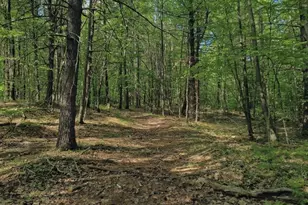 32 Hollow Rd, Wales, MA 01081 - Photo 14