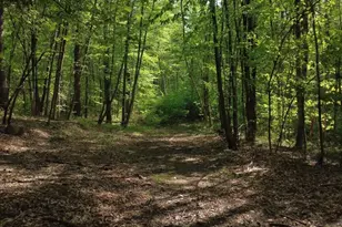 32 Hollow Rd, Wales, MA 01081 - Photo 16
