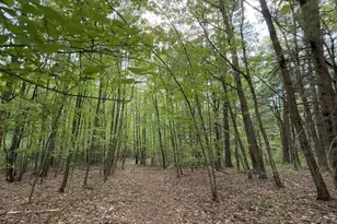 32 Hollow Rd, Wales, MA 01081 - Photo 8