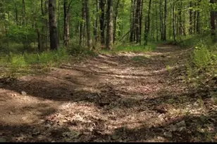 32 Hollow Rd, Wales, MA 01081 - Photo 16