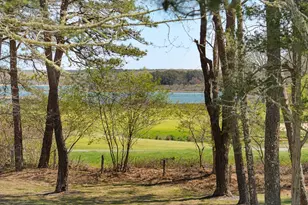 15 Tamarack Ln, Oak Bluffs, MA 02557 - Photo 8