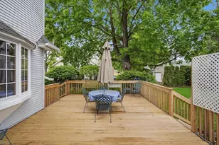 20 Athol St, Springfield, MA 01107 - Photo 36