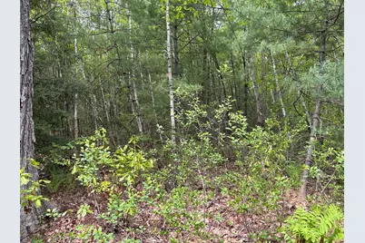 0 Lot 2 Stoddard Rd, Winchendon, MA 01475 - Photo 4
