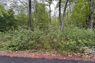 0 Stoddard Rd Lot 2, Winchendon, MA 01475 - Photo 1