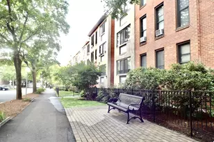 32 Juniper St, Brookline, MA 02445 - Photo 14