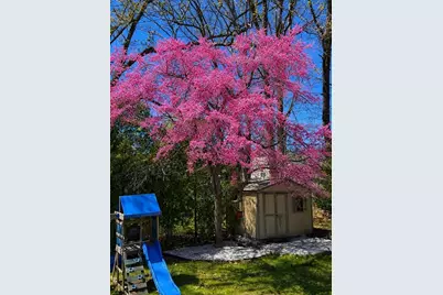 6 Anderson Avenue, Worcester, MA 01604 - Photo 34