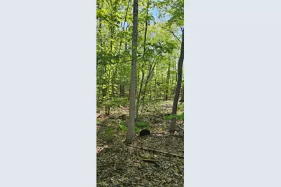 12 Carey Road, Sturbridge, MA 01566 - Photo 10