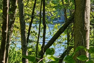 12 Carey Rd, Sturbridge, MA 01566 - Photo 1