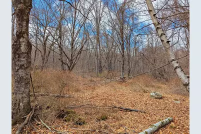 0 William Holmes Rd, Becket, MA 01223 - Photo 16