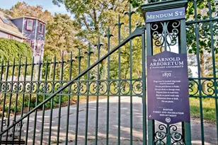 101 Tyndale St, Boston, MA 02131 - Photo 40