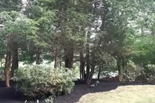 2399 Bay Rd, Sharon, MA 02067 - Photo 38