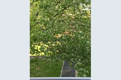 7 Conant Rd #11, Winchester, MA 01890 - Photo 34