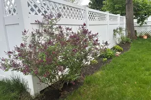 62 Elm St, Melrose, MA 02176 - Photo 36