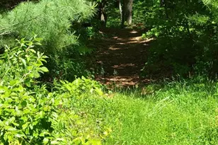 Lot 5 Daniels Rd, Charlton, MA 01507 - Photo 6