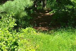 Lot 5 Daniels Rd, Charlton, MA 01507 - Photo 8