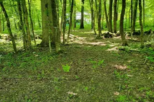 Lot 7 Daniels Rd, Charlton, MA 01507 - Photo 2