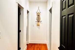 41 Gleason St, Boston, MA 02121 - Photo 4