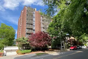 19 Winchester, Brookline, MA 02446 - Photo 10