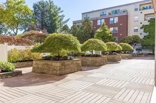 20 Webster St, Brookline, MA 02446 - Photo 4